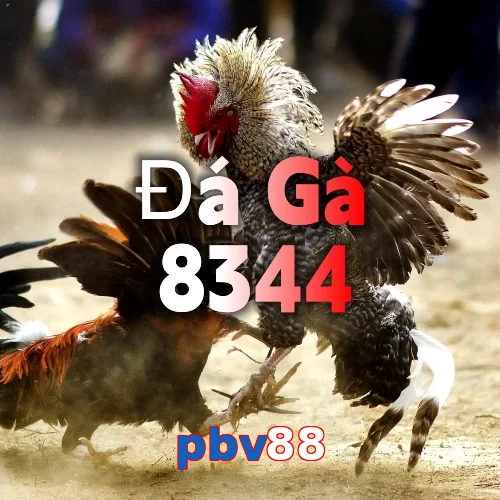 pbv88