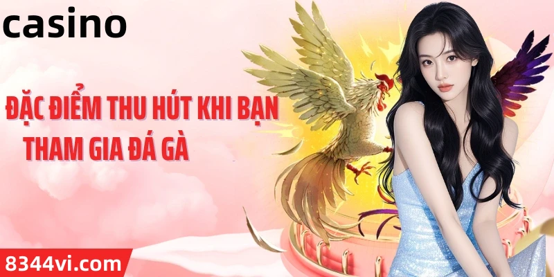 Hình ảnh quảng cáo của pbv88 hiển thị nền tảng và các lợi ích