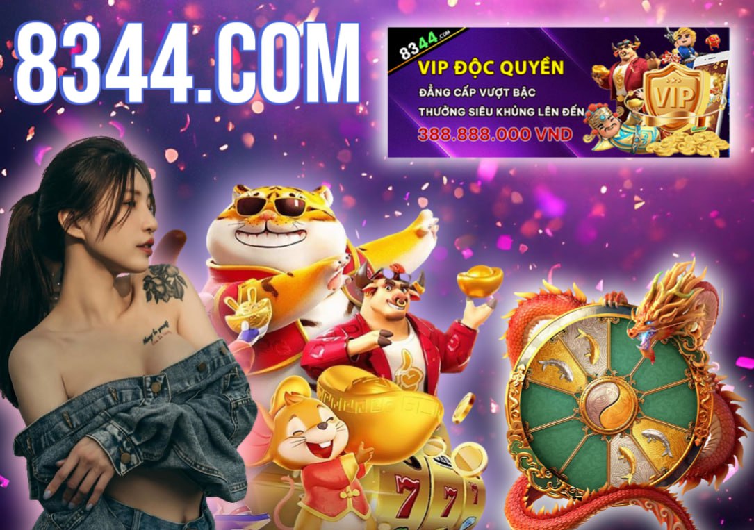 Hình ảnh quảng cáo của pbv88 hiển thị nền tảng và các lợi ích